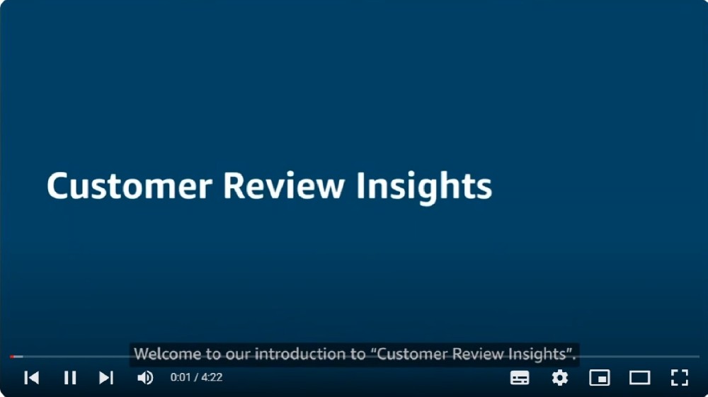 02优化您的亚马逊业务增长和绩效-07客户评论见解